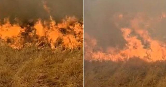 perkeqesohet-situata-ne-delvine,-flaket-perhapen-deri-te-mali-i-sopotit,-rrezikohet-fshati-i-lazaratit-dhe-gjirokastra perkeqesohet-situata-ne-delvine,-flaket-perhapen-deri-te-mali-i-sopotit,-rrezikohet-fshati-i-lazaratit-dhe-gjirokastra