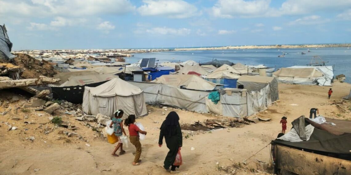 “hame-vetem-buke-e-kripe”,-rrefimet-e-dhimbshme-te-qytetareve-ne-gaza,-nje-kilogram-domate-kushton-30-dollare “hame-vetem-buke-e-kripe”,-rrefimet-e-dhimbshme-te-qytetareve-ne-gaza,-nje-kilogram-domate-kushton-30-dollare
