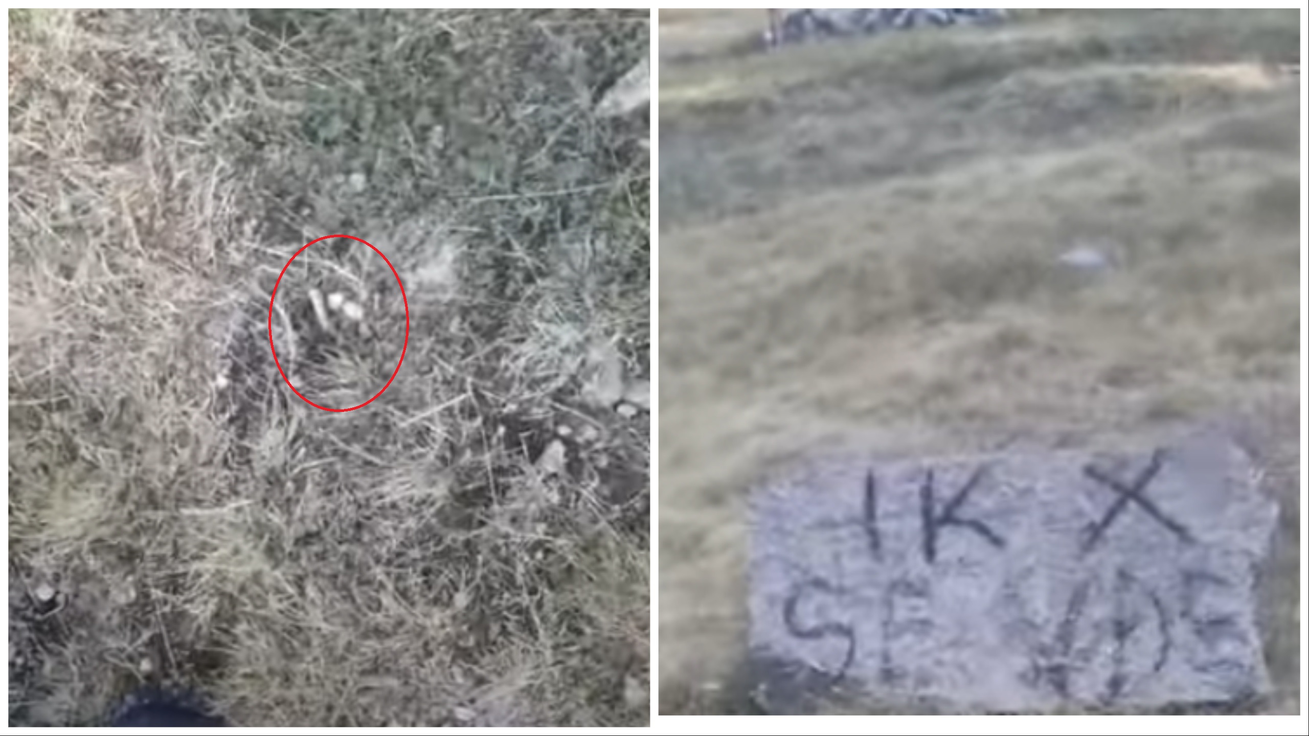 “ik-se-do-te-vdesesh”-gezhoja-dhe-mesazh-kercenues-ne-gur,-fermeri-qellohet-me-arme-zjarri-ne-afersi-te-baneses “ik-se-do-te-vdesesh”-gezhoja-dhe-mesazh-kercenues-ne-gur,-fermeri-qellohet-me-arme-zjarri-ne-afersi-te-baneses