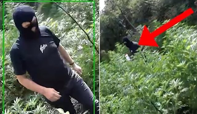 i-maskuar,-momenti-kur-punonjesi-i-pyjores-kapet-mat-duke-u-kujdesur-per-hashashin-e-mbjelle-(video) i-maskuar,-momenti-kur-punonjesi-i-pyjores-kapet-mat-duke-u-kujdesur-per-hashashin-e-mbjelle-(video)