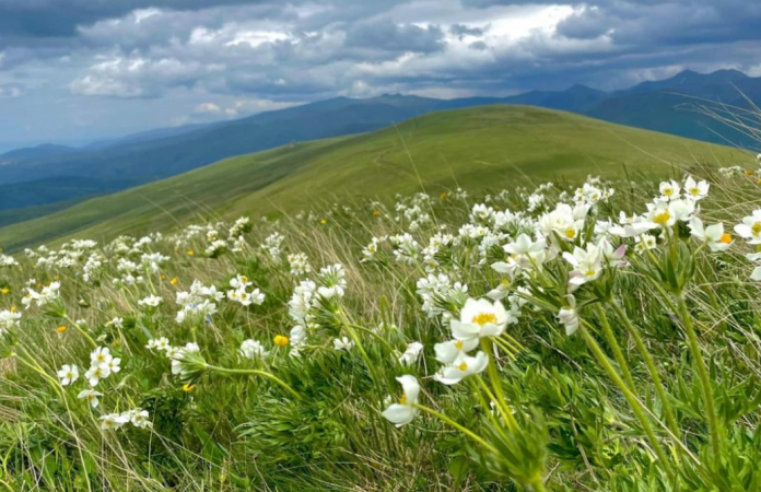 Eco-Tourism Expands in Albania’s Protected Natural Areas