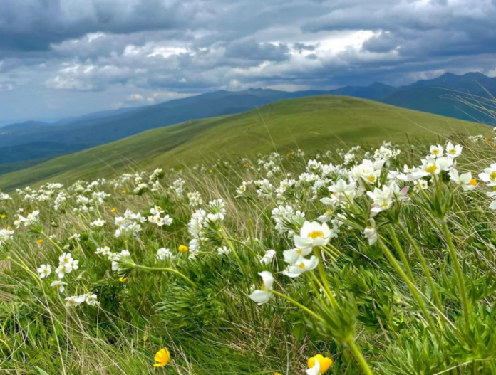 Eco-Tourism Expands in Albania’s Protected Natural Areas
